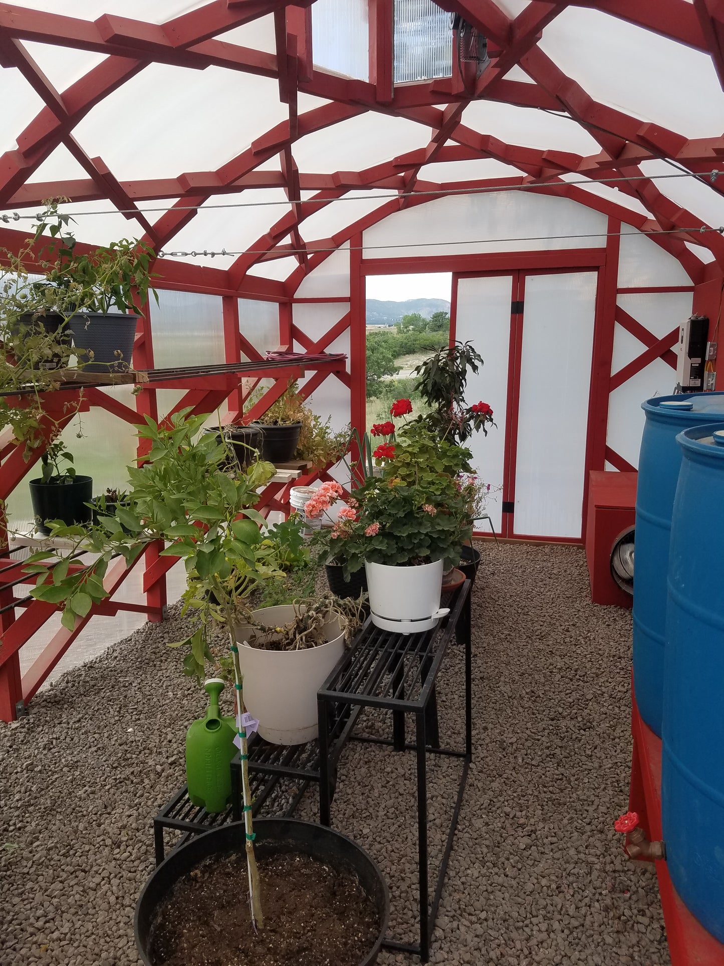 Barrel Vault Wooden Greenhouses